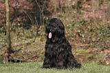 BRIARD 048